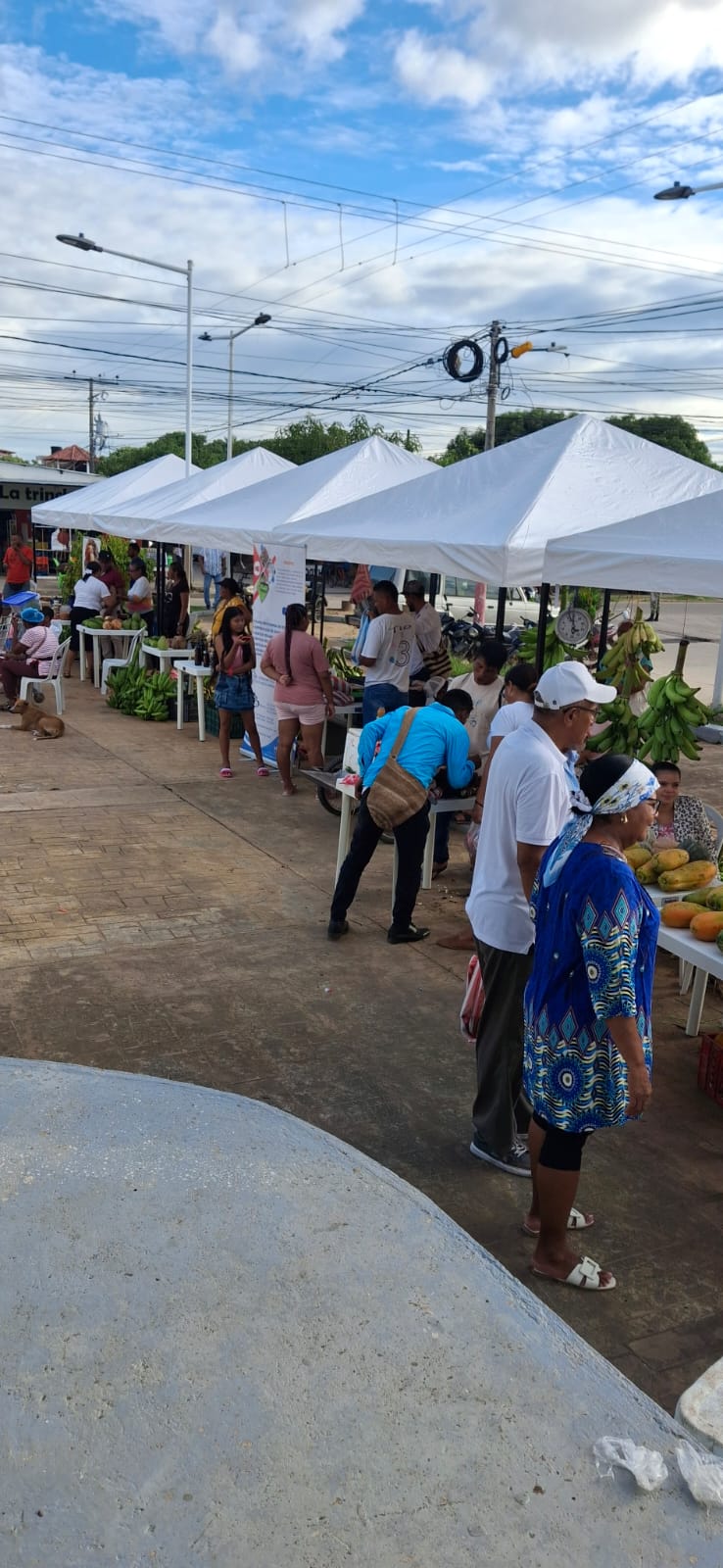MERCADOS CAMPESINOS 2