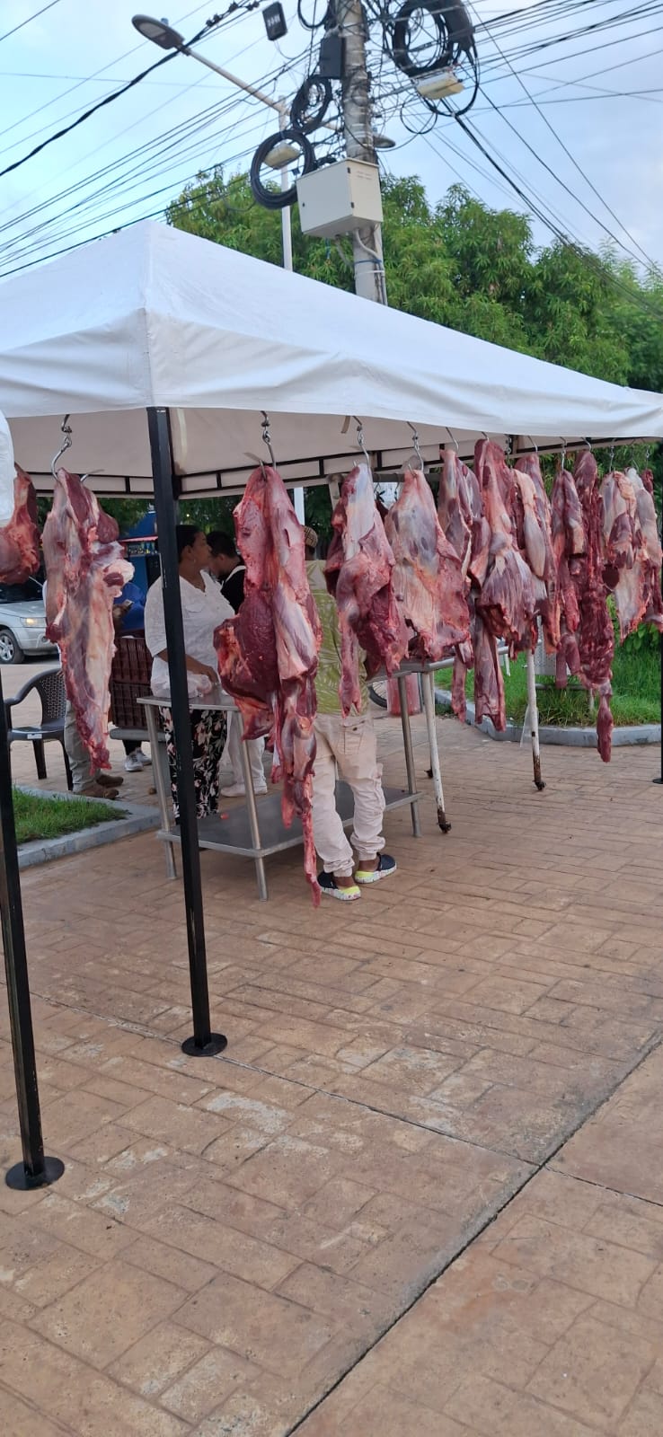 MERCADOS CAMPESINOS 5