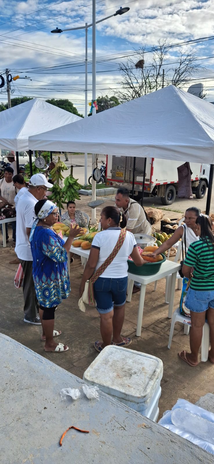 MERCADOS CAMPESINOS 6